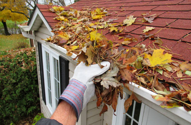 Gutter Cleaning Red Bank